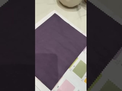 Conformal wrinkle resistant 100% all-nylon   80033 88g/m² garment material